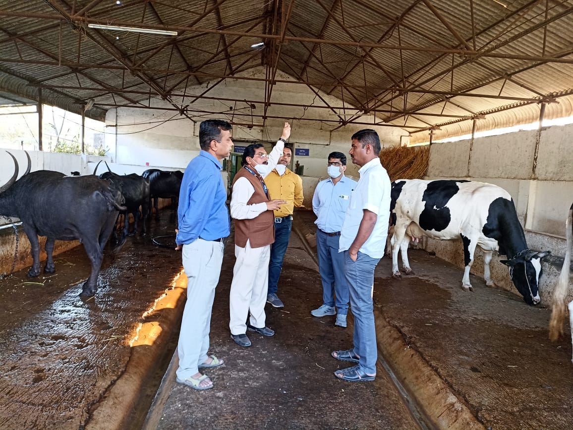 Farm Visit